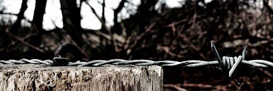 BarbarousBrawn's profile banner image