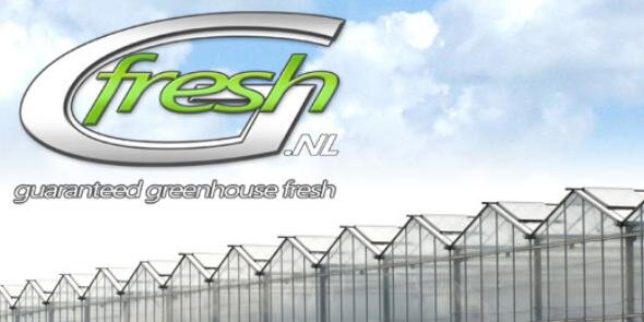 Gfresh4's profile banner image