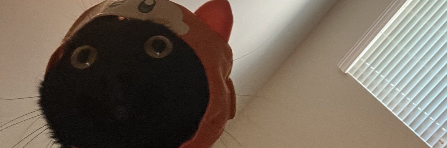 SebashtianSum's profile banner image