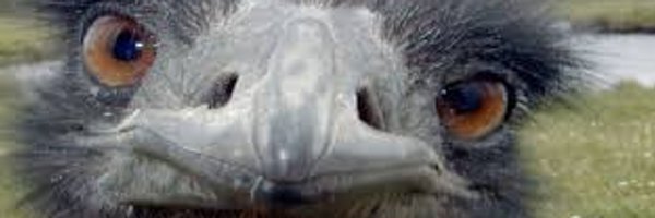 edje007 Profile Banner