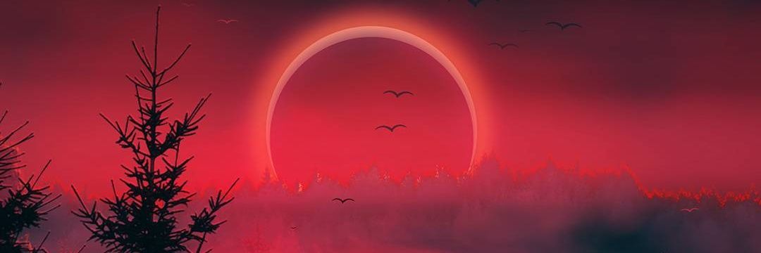maldack's profile banner image