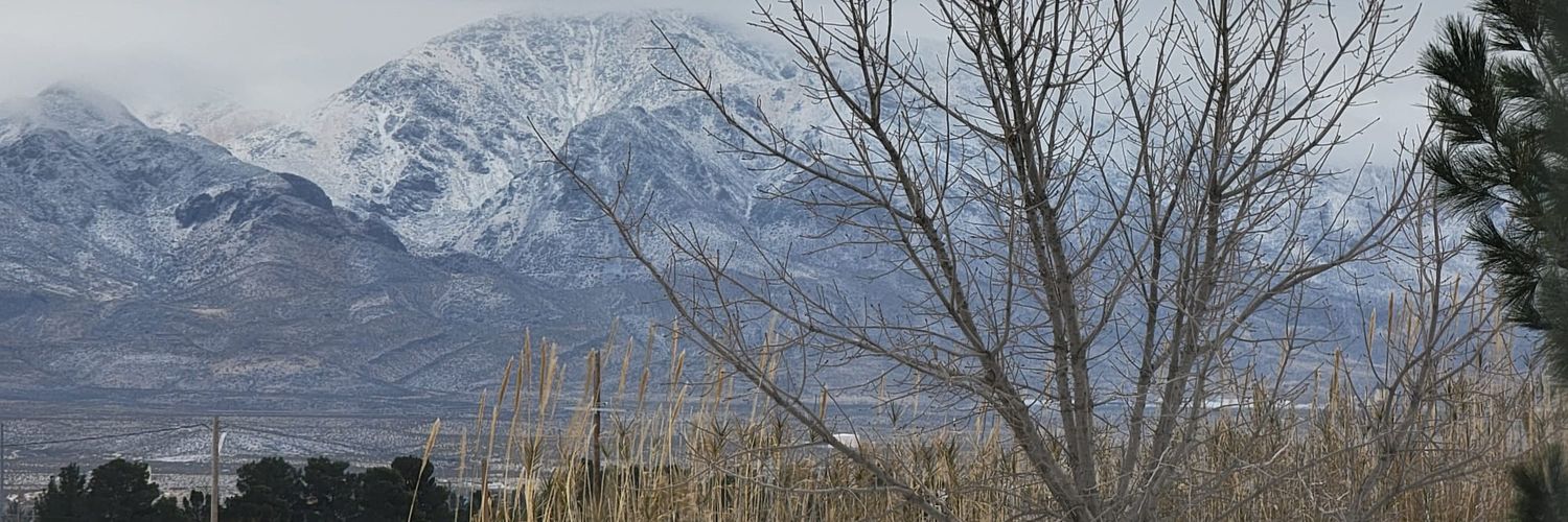 Miwa | Commissions CLOSED banner