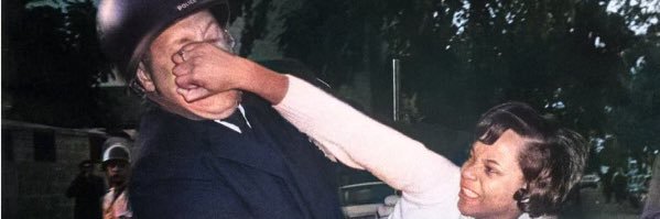 nipigeni's profile banner image