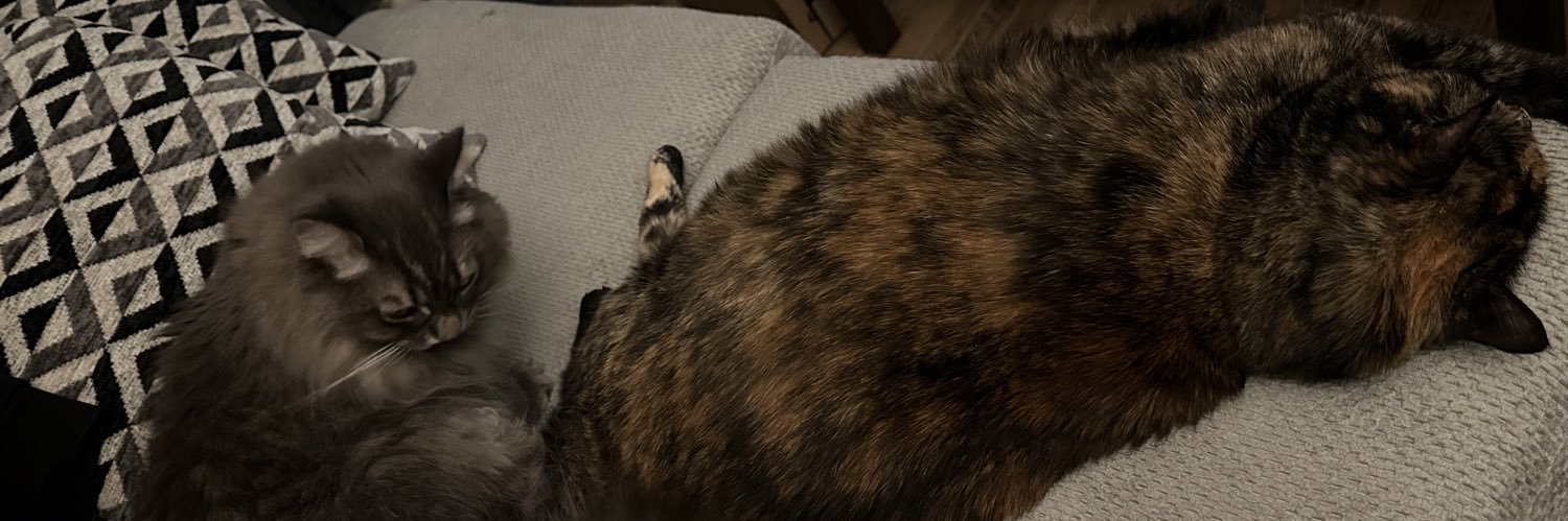 EmmeElleVee's profile banner image