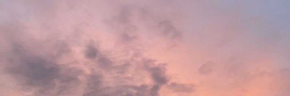 ʎǝlɐ banner