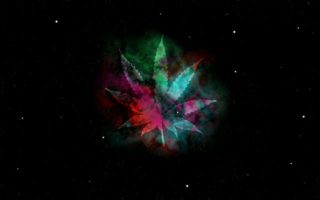 MufflyVirgi's profile banner image