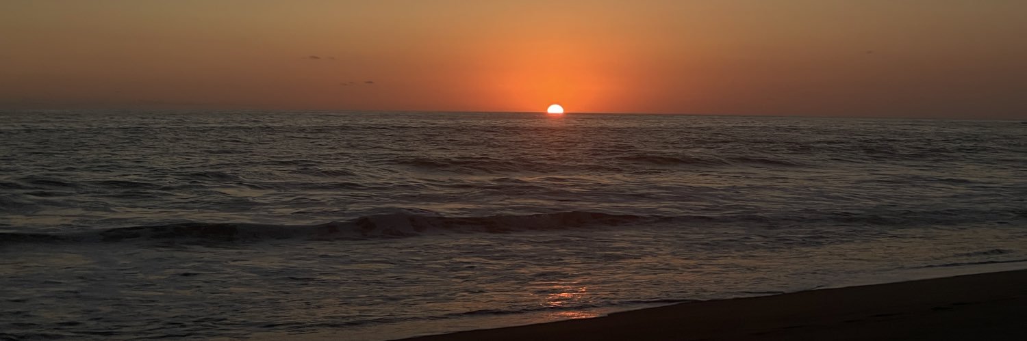 Fernando delaflor banner