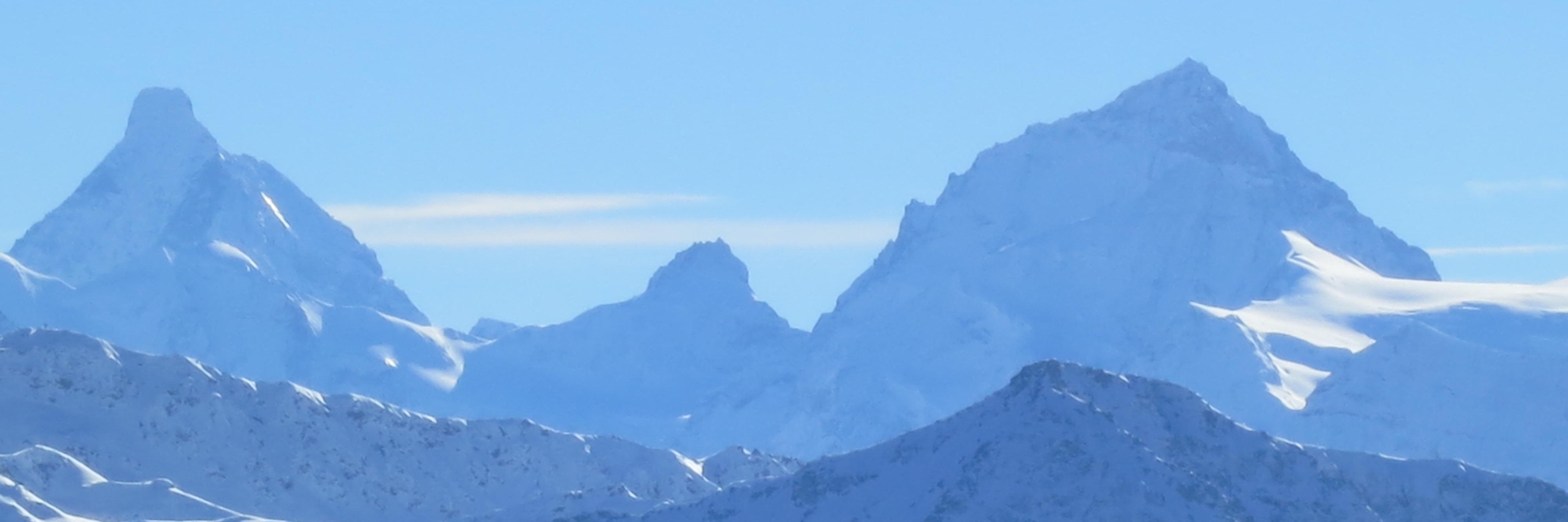 curious_sapiens's profile banner image