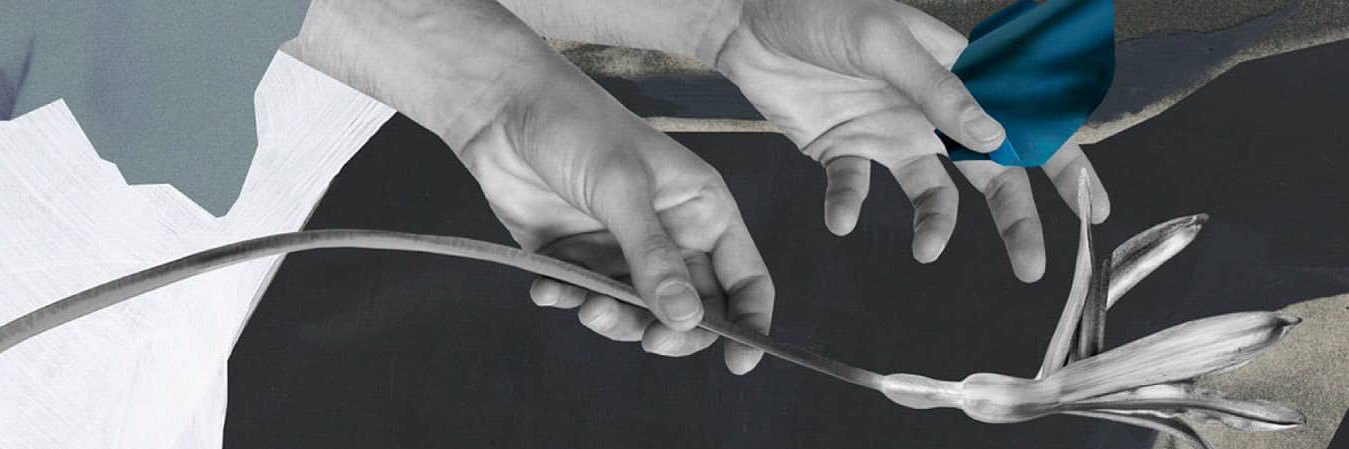 qlius's profile banner image