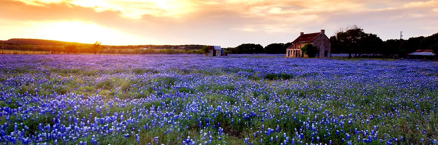 StandForTexas's profile banner image