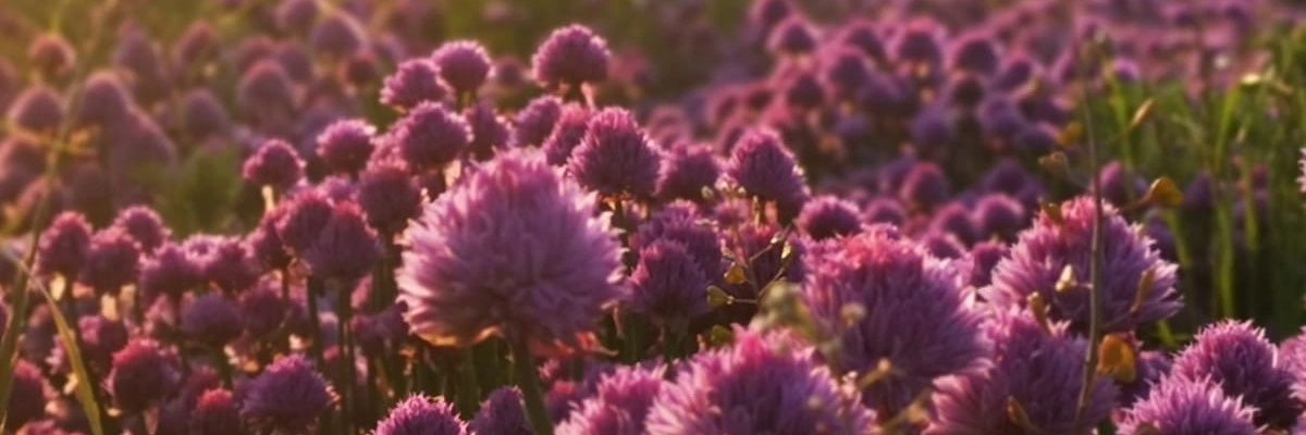 Dette1605's profile banner image