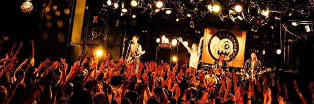 Toru-wolf's banner