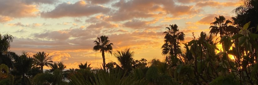 SashaHuot's profile banner image