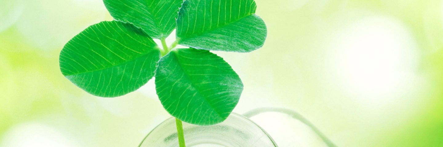 No_Way banner