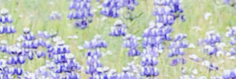 nerimankc's profile banner image