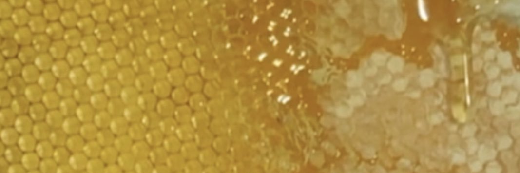 fucheeys's profile banner image