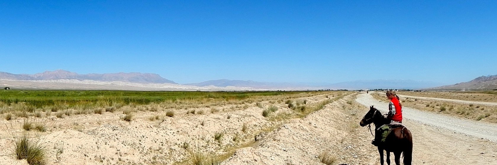 Tanja Havemann banner