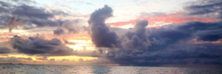 lara_jarrous's profile banner image