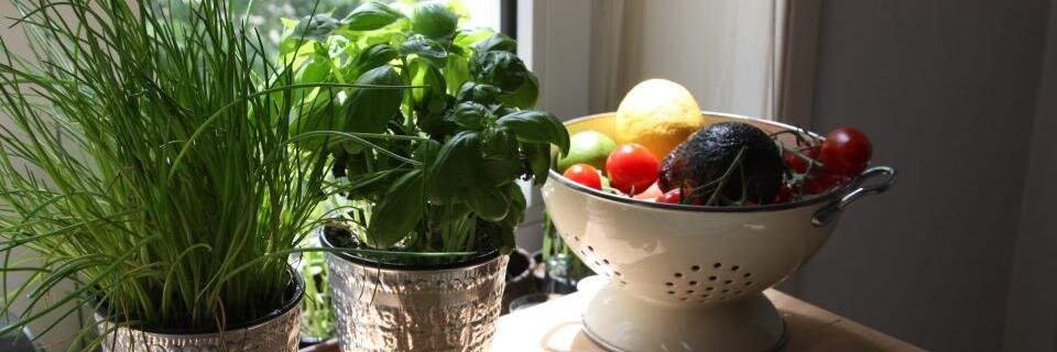 remington steele banner