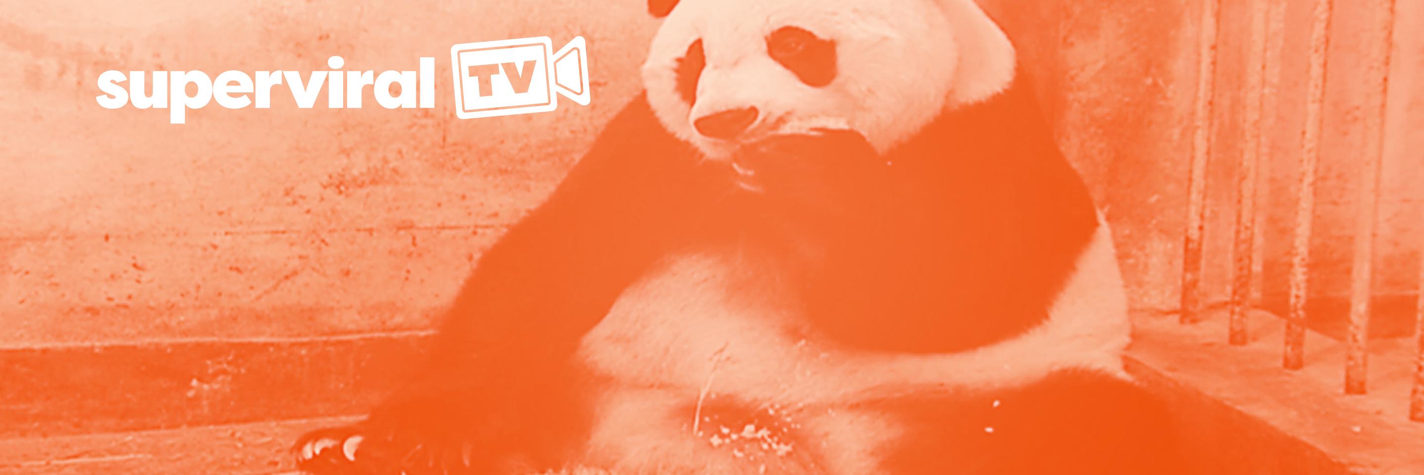 superviraltv's profile banner image