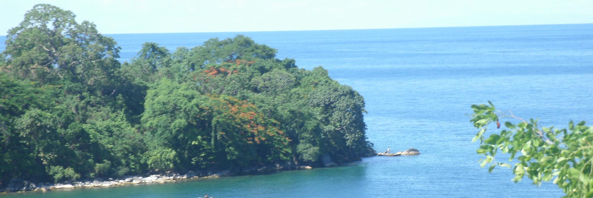 chikomanda's profile banner image