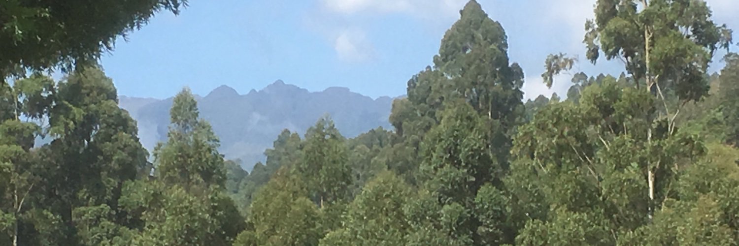 UncleRinyos's profile banner image
