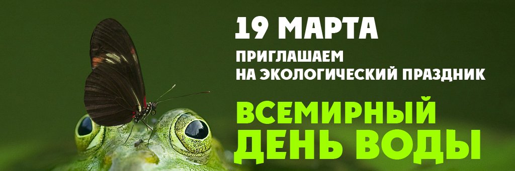 darwinmuseum's profile banner image