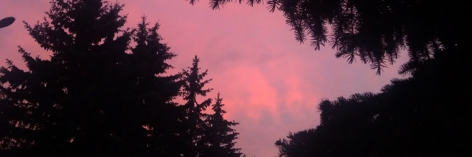 SatarDenis's profile banner image