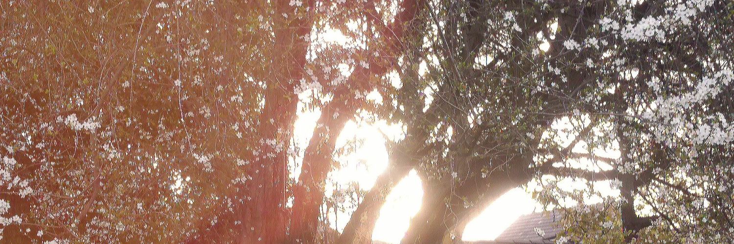 SashaALord's profile banner image