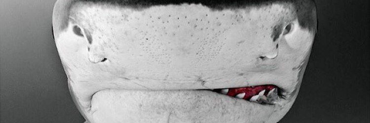 Fireman1016's profile banner image