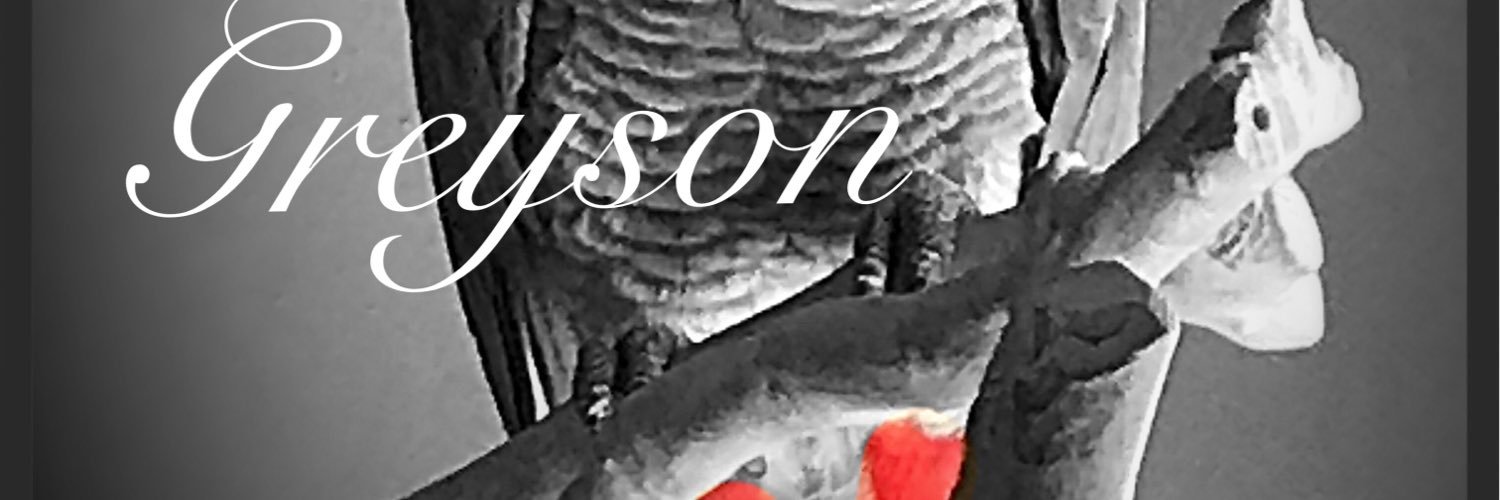 GreysonGreyBird's profile banner image