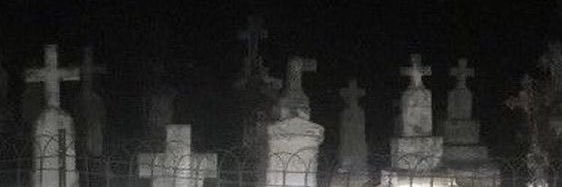 hgtrfcb's profile banner image