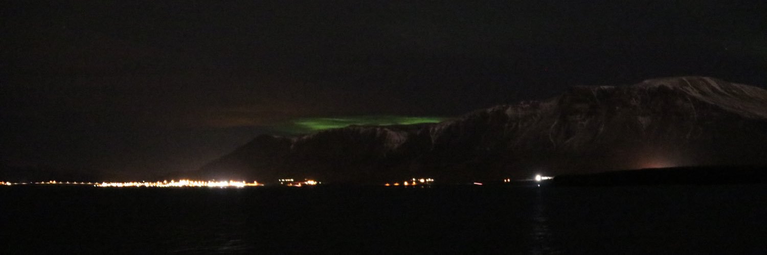 Harrison Bird banner