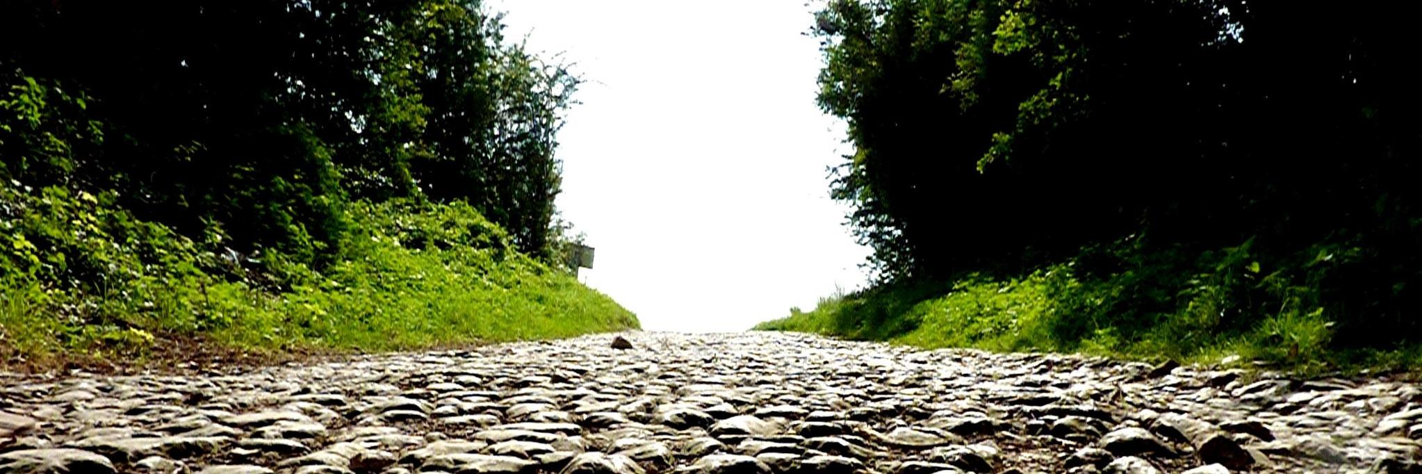 devaabphoto's profile banner image