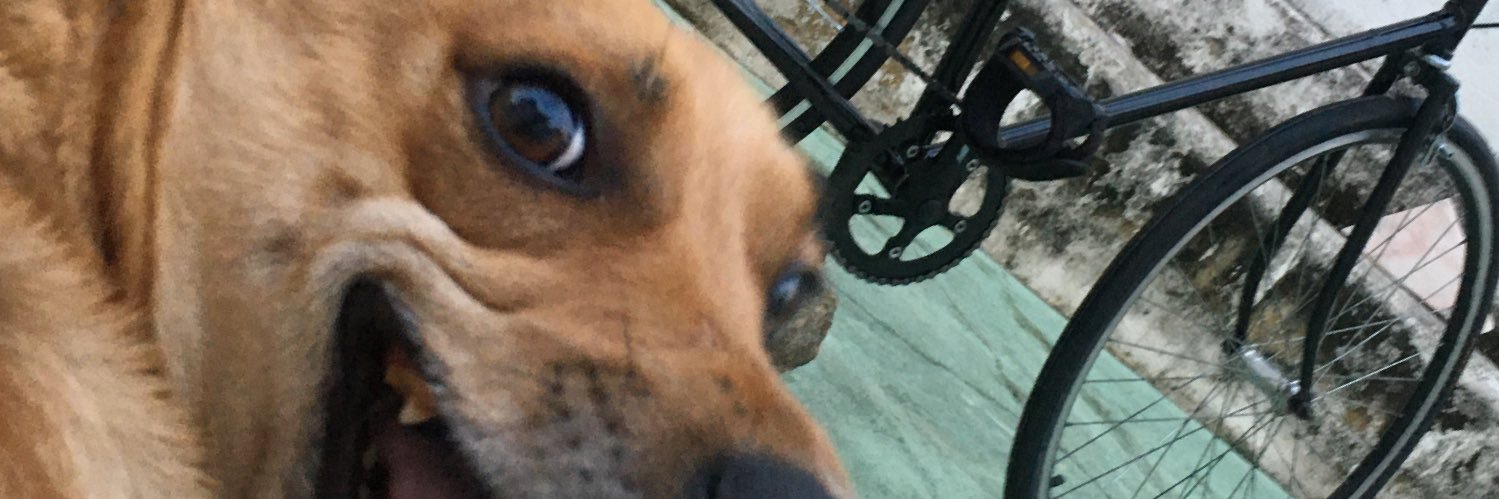 godguilla's profile banner image
