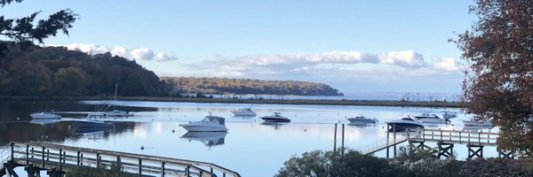 AmberZqt Profile Banner