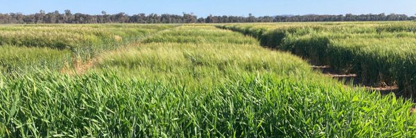 AlisonRBentley Profile Banner