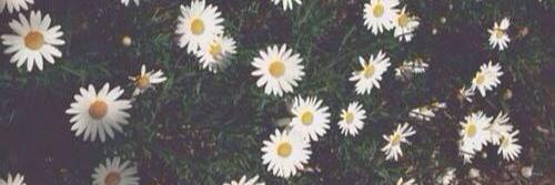 jaqueoliver15's profile banner image