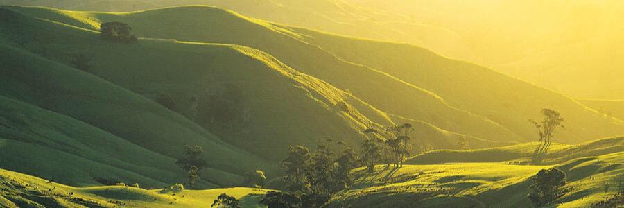 GippPrin's profile banner image
