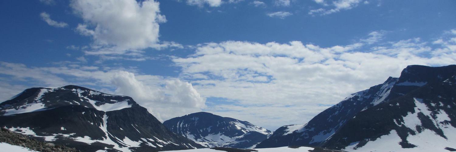 elibrye's profile banner image