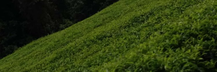 H_Isaac07's profile banner image