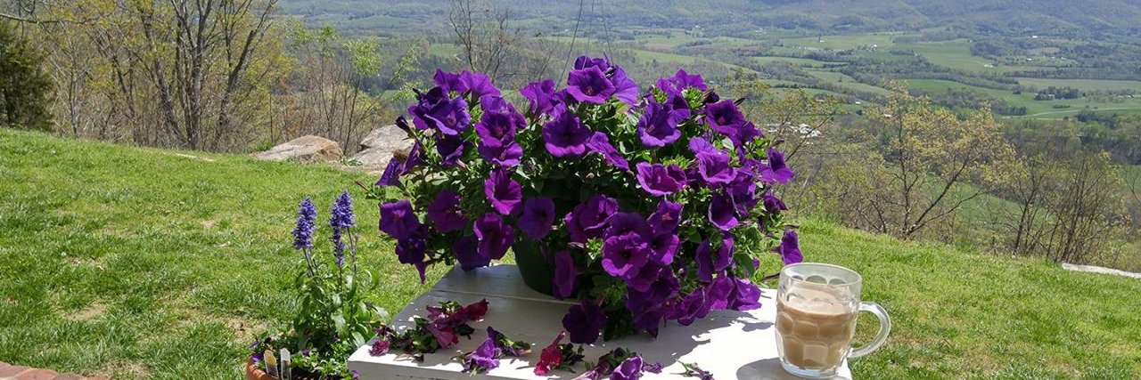 Angela 🏈🍊 banner