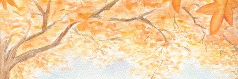 milo_sailing's profile banner image
