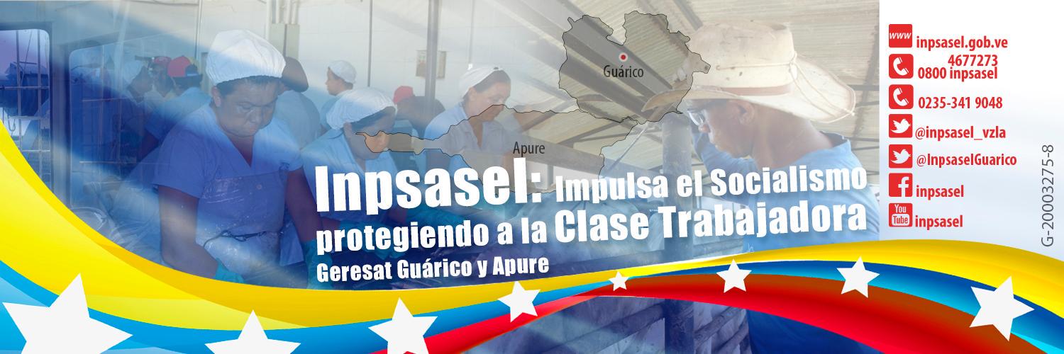 InpsaselGuarico's profile banner image