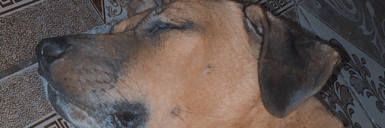 RodriguezArg_'s profile banner image