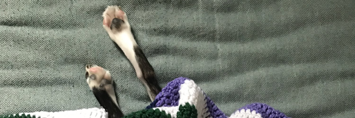catemcgov's profile banner image