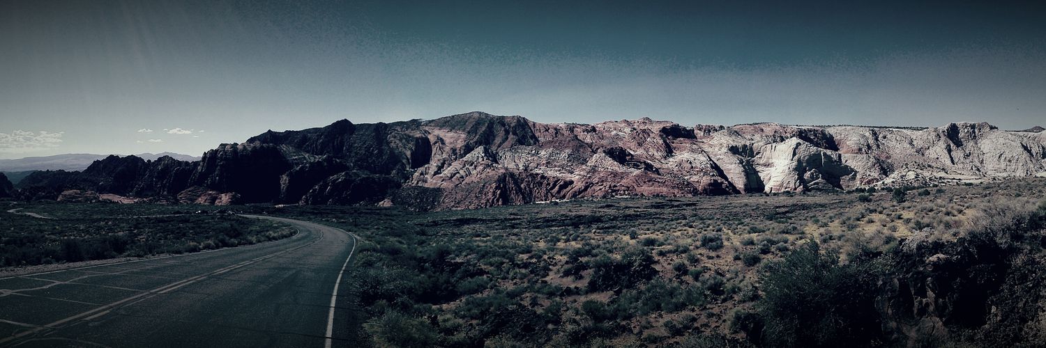 liontamerdan's profile banner image