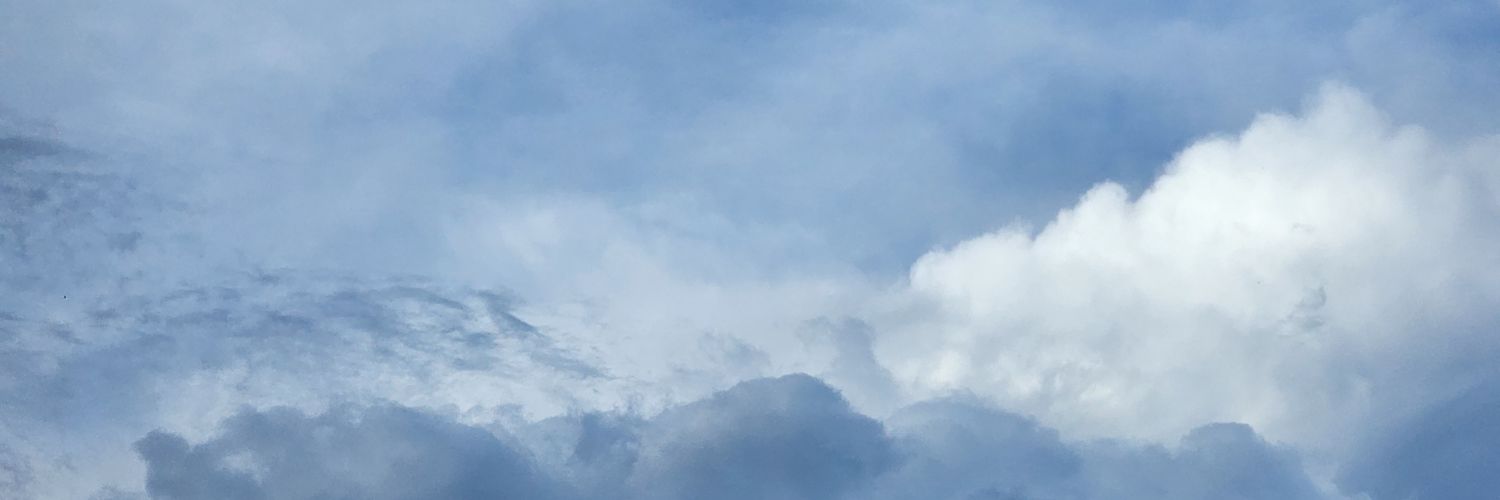 Edwin Brito Brito banner