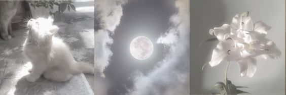 ⊹ ࣪ ˖☾ ella ⋆˚࿔ banner