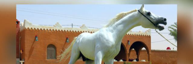 yousft's profile banner image
